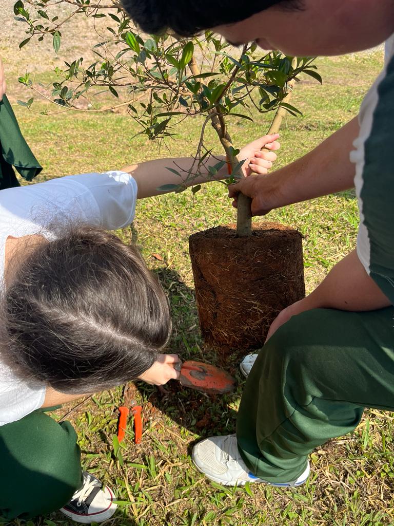 Alunos trabalhando em projeto prático em grupo